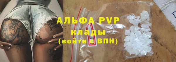скорость Вяземский
