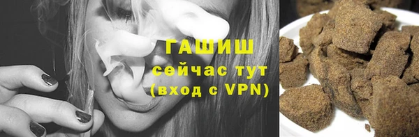 гашик Вязьма