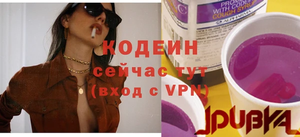 гашик Вязьма