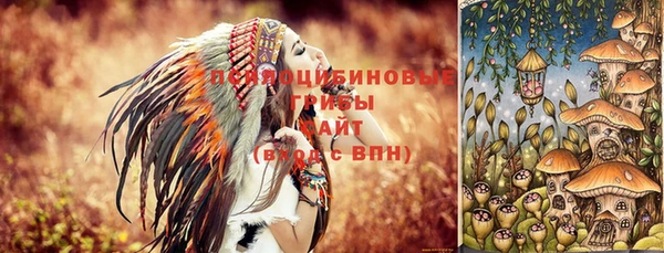 гашик Вязьма