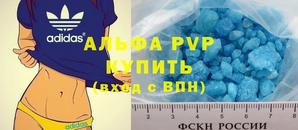 скорость Вяземский