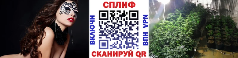 Шишки марихуана SATIVA & INDICA  Купить  Томмот 